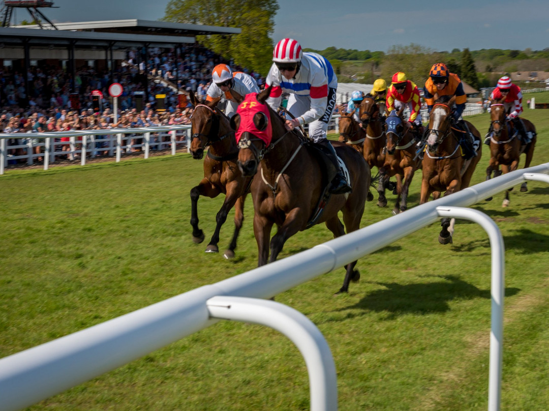 Plumpton Racecourse景点图片