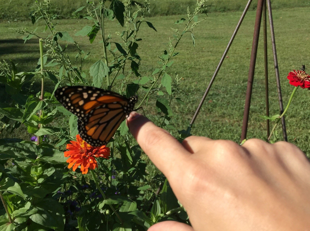 Creekside Gardens-Tunkhannock必去景点
