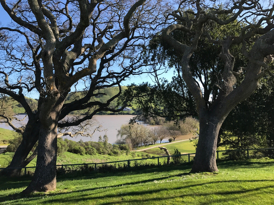 印度谷高尔夫球场-Novato必去景点