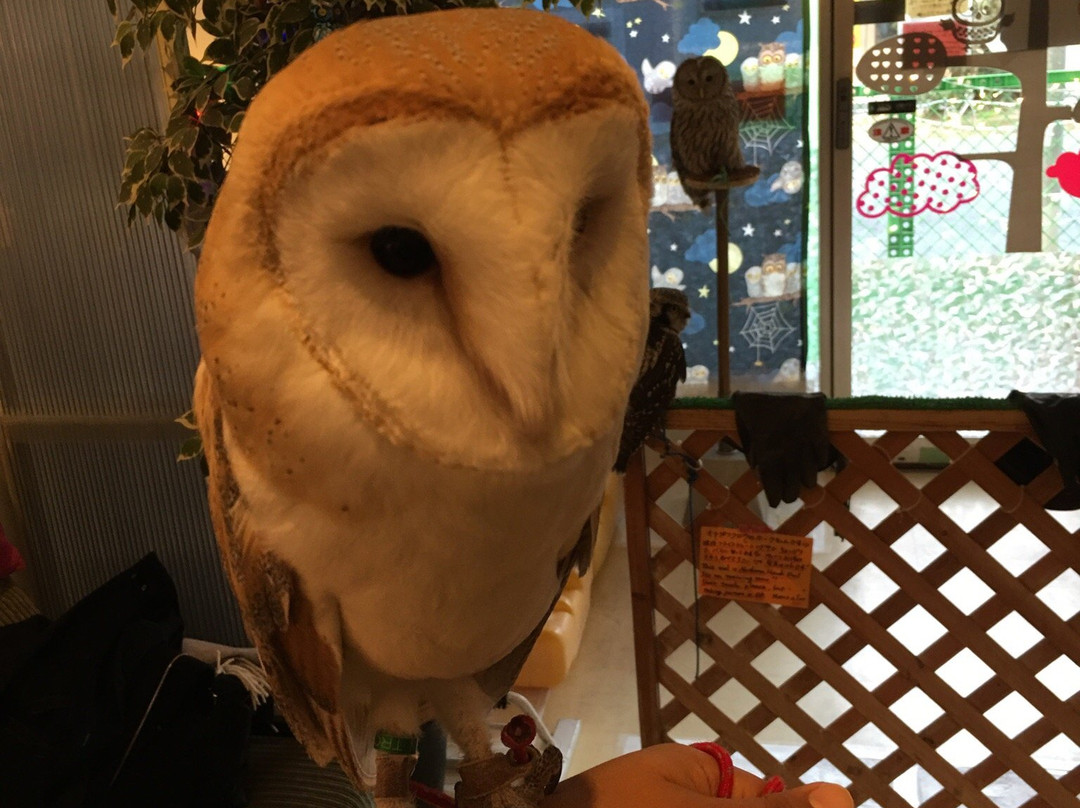 Fukuro no Mise-Tsukishima必去景点