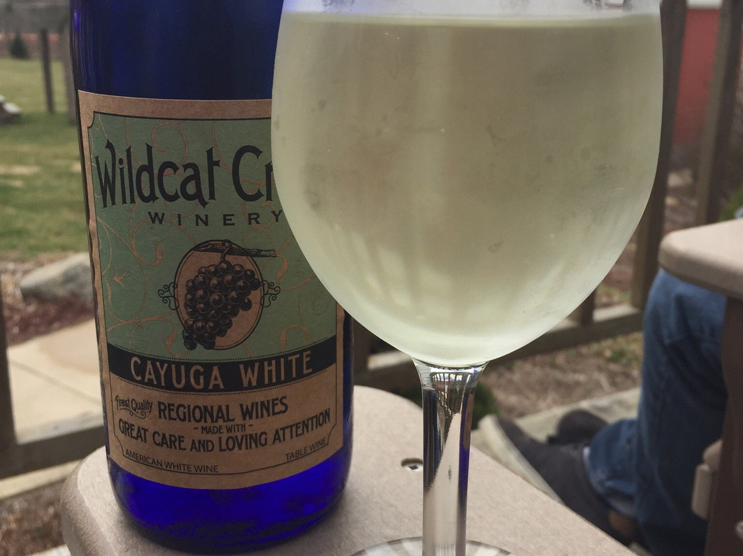 Wildcat Creek Winery-拉斐特必去景点