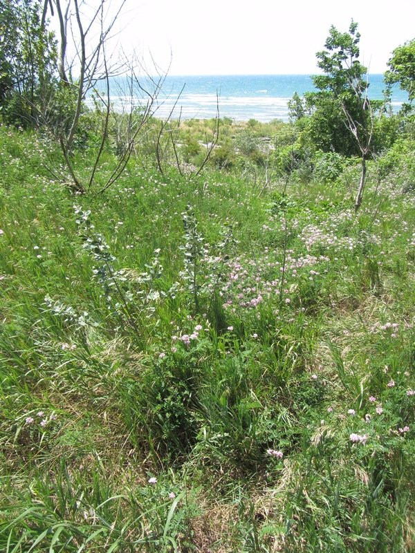 Morgan's Point Conservation Area-Wainfleet必去景点