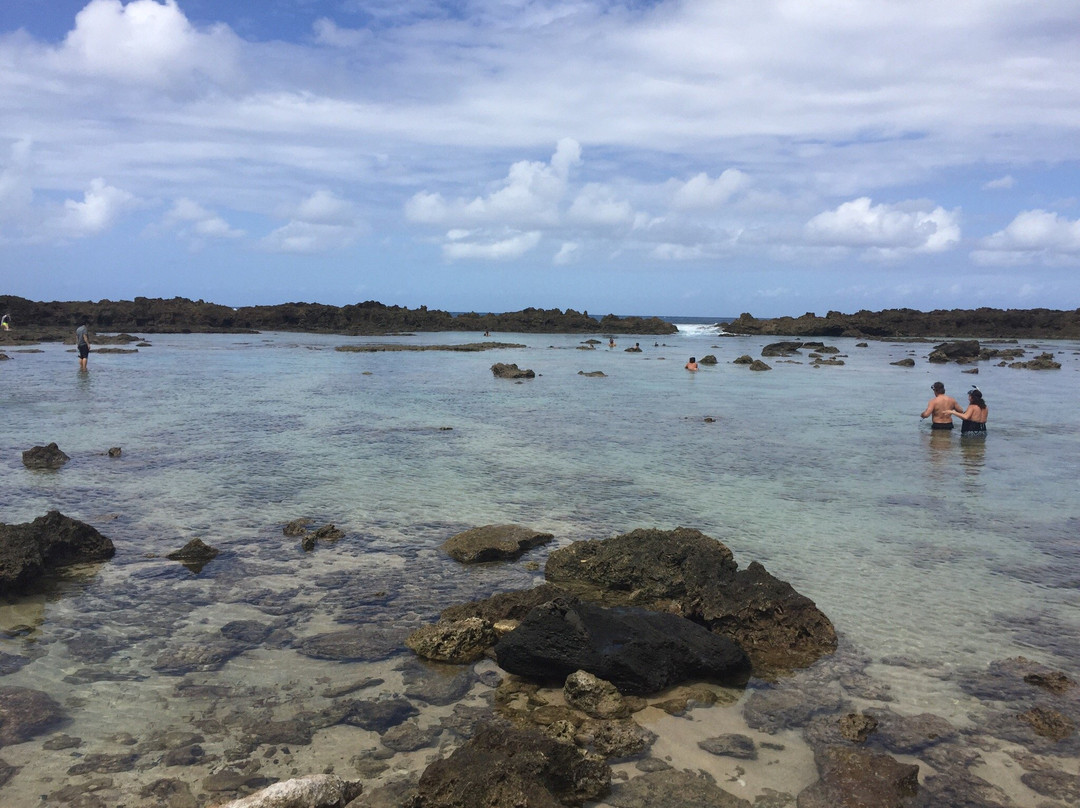 Waialua Bay-哈雷瓦必去景点