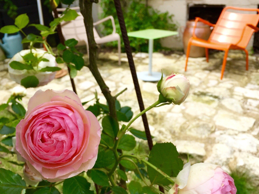 La Borderie du Go主图