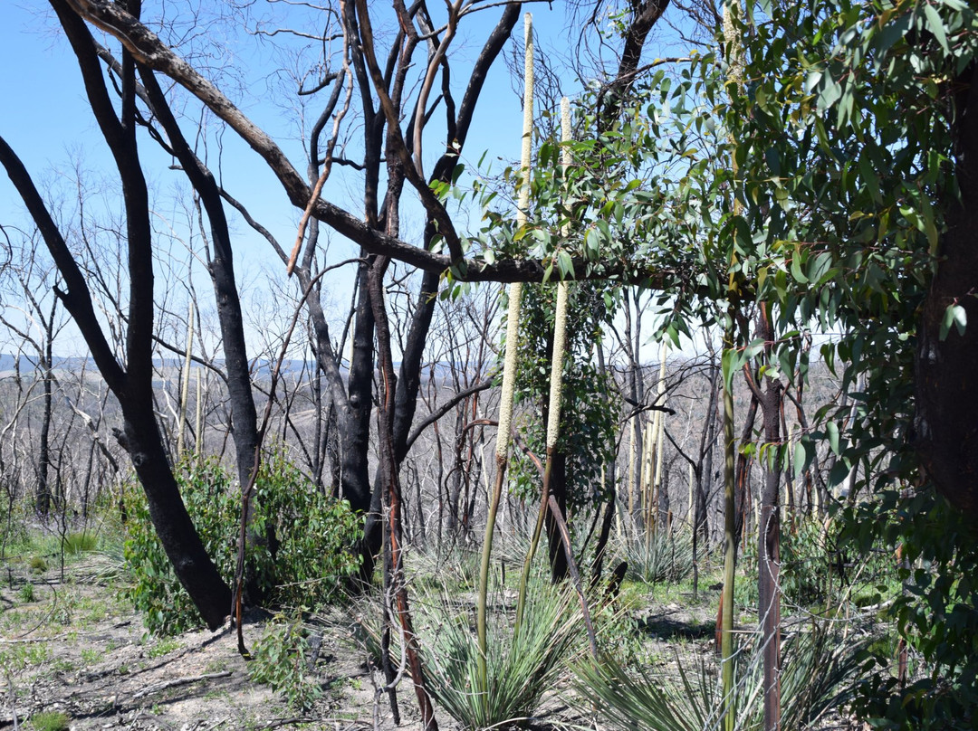 Roachdale Nature Trail景点图片