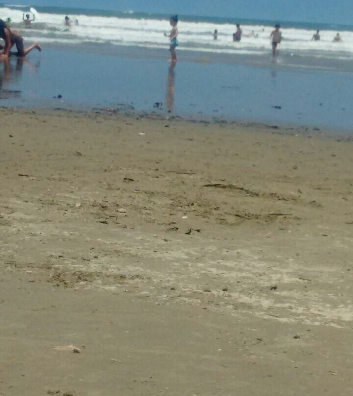 Praia Bertioga景点图片