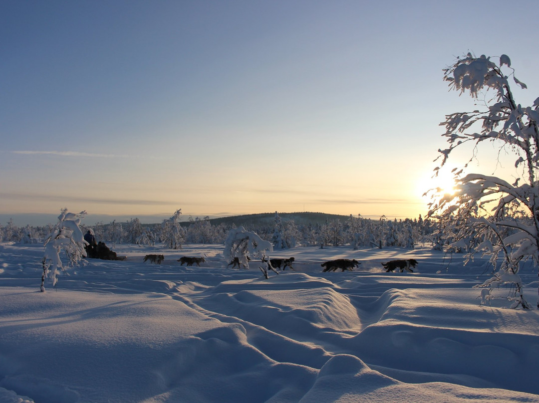 Active Lapland-基律纳必去景点