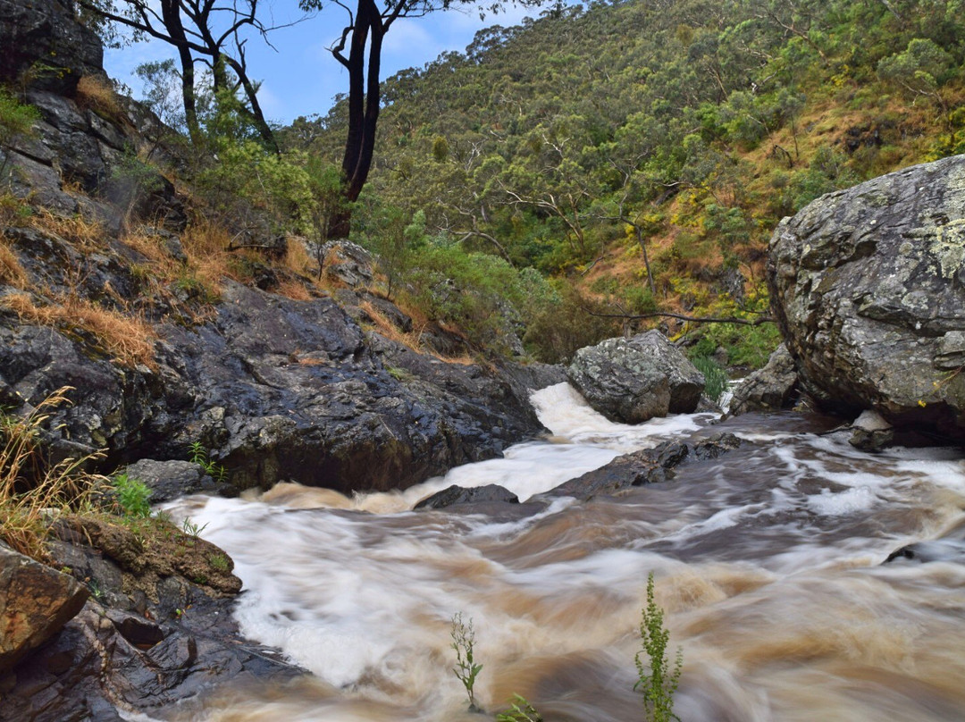 Hindmarsh Falls景点图片