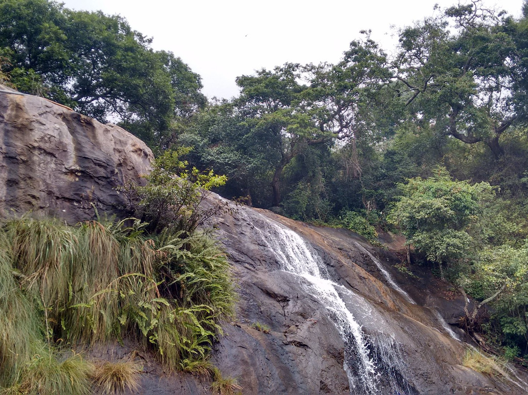 Masila Falls景点图片
