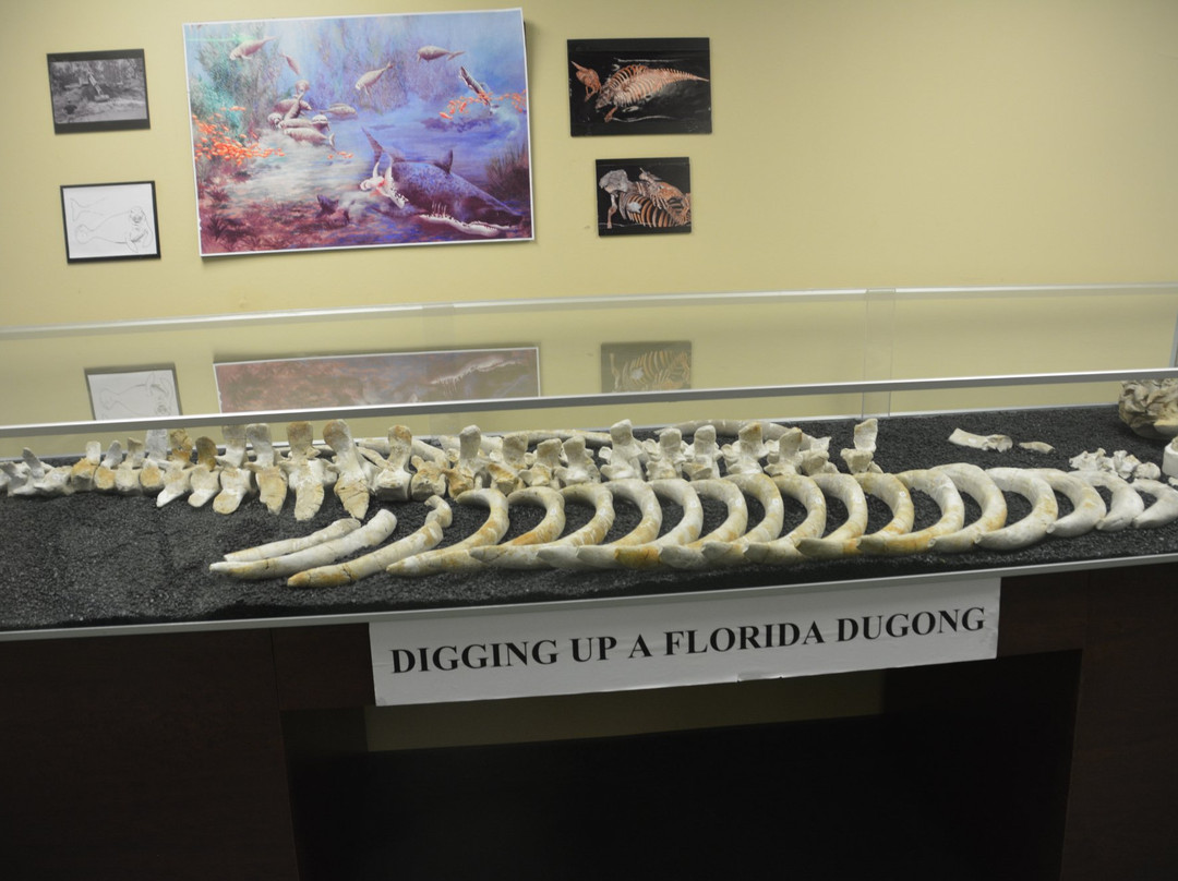 Clewiston Museum-克莱维斯顿必去景点