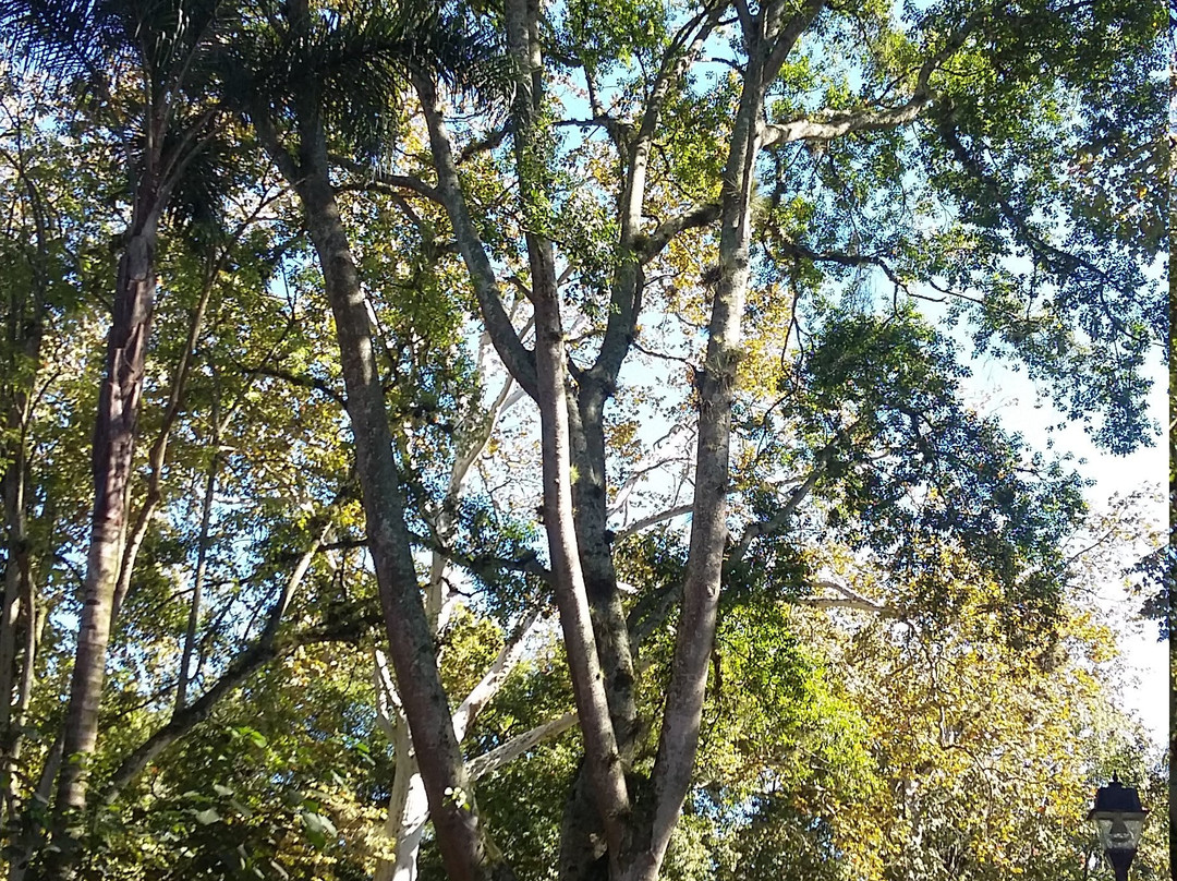 Parque Los Berros-哈拉帕必去景点