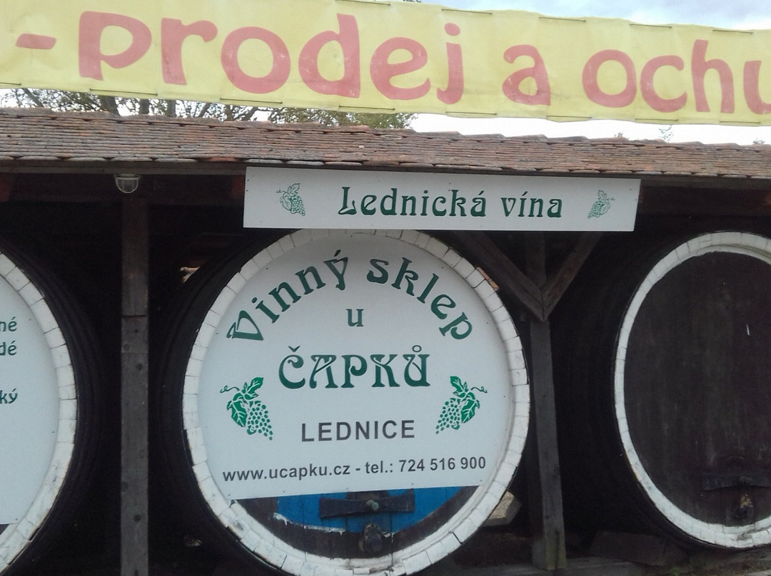 Vinny Sklep u Jozky Cermaka-米库洛夫必去景点