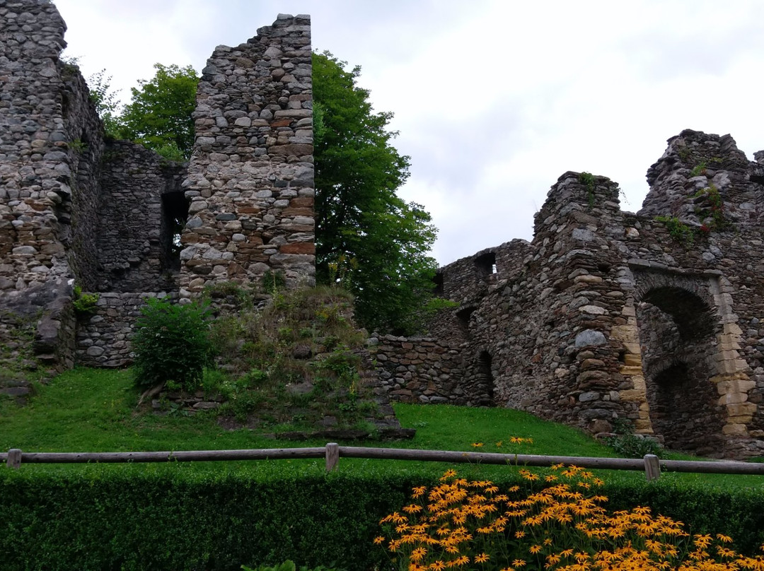Ruine Painburg景点图片