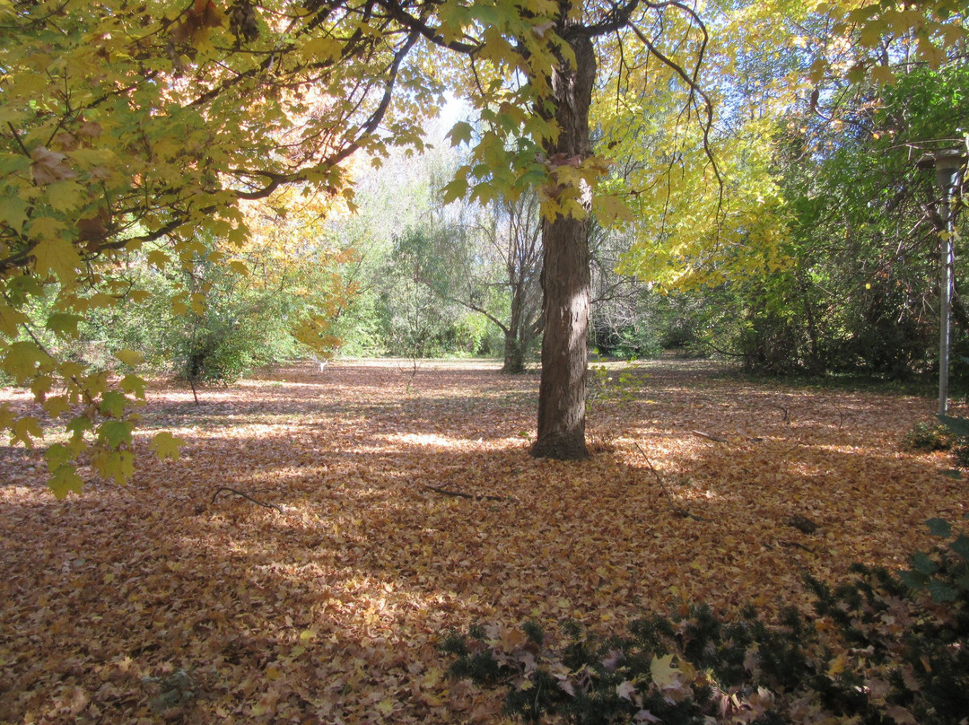 Cool Breeze Estate Bed and Breakfast主图