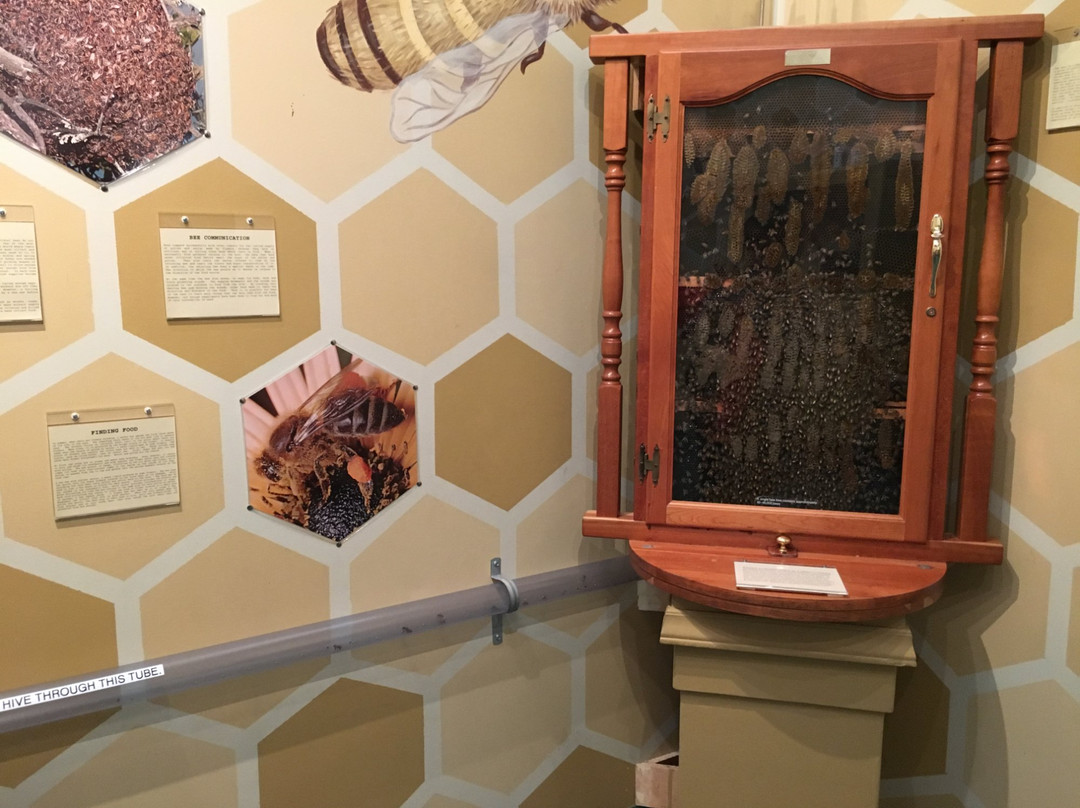 Insectropolis, the Bugseum of New Jersey景点图片