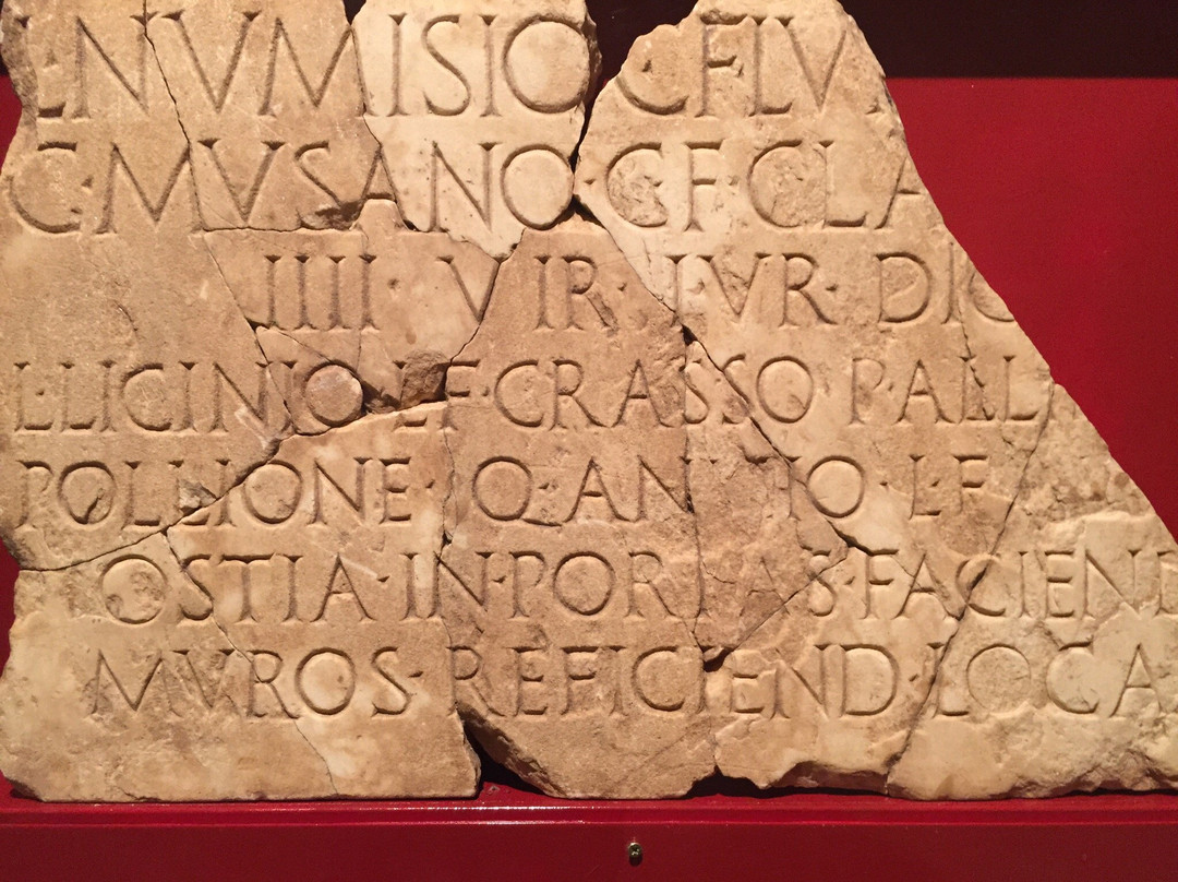 Museo Archeologico Statale Vito Capialbi景点图片