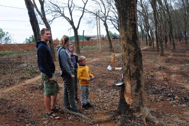 Dalat Eagle Tours-大勒必去景点