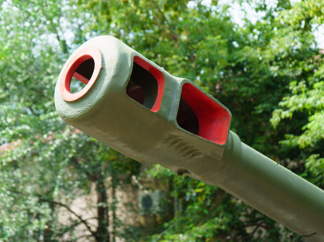 Military-Historical Museum of The Krasnoznamenny Far East Military District景点图片