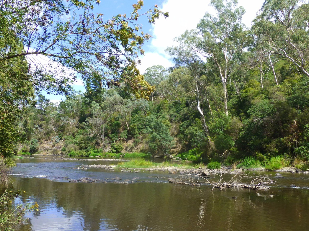 Warrandyte River Reserve景点图片