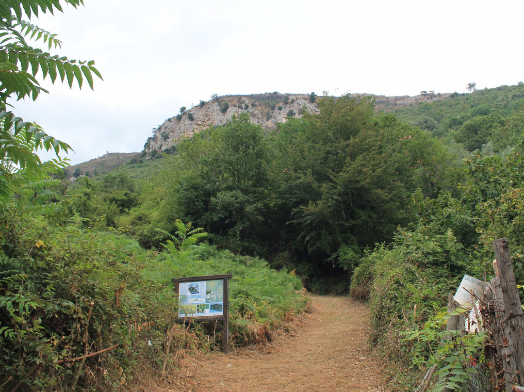 Eremo di San Magno景点图片