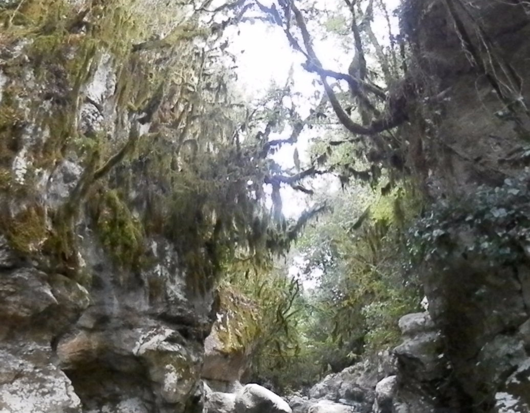 Grotte del Bussento景点图片