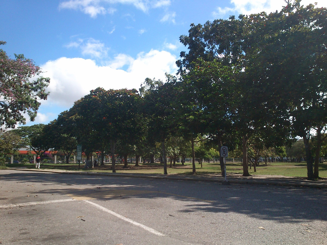 Parque Del Este景点图片