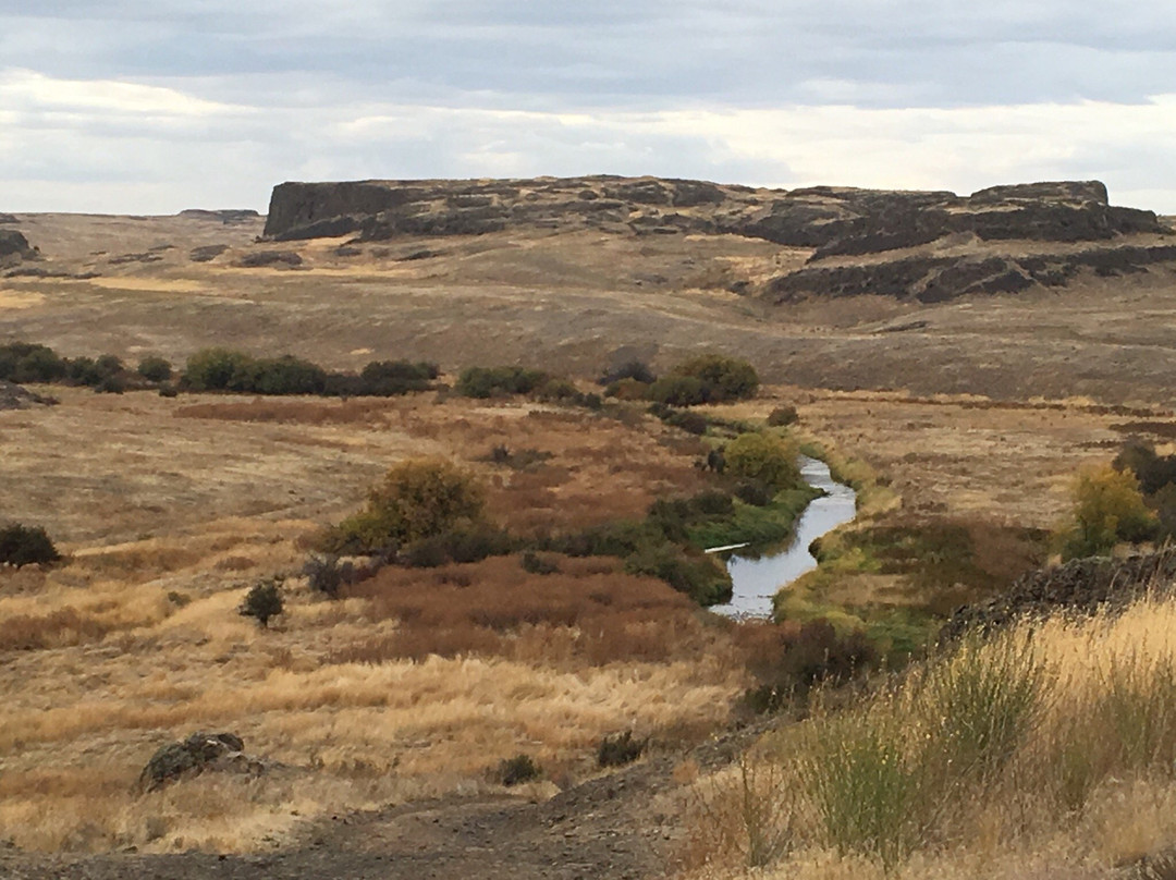 Palouse Tour-Colfax必去景点