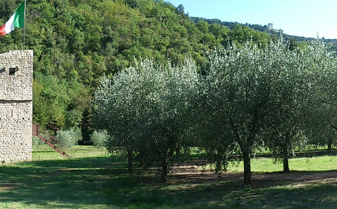 Il Terzo Paradiso景点图片
