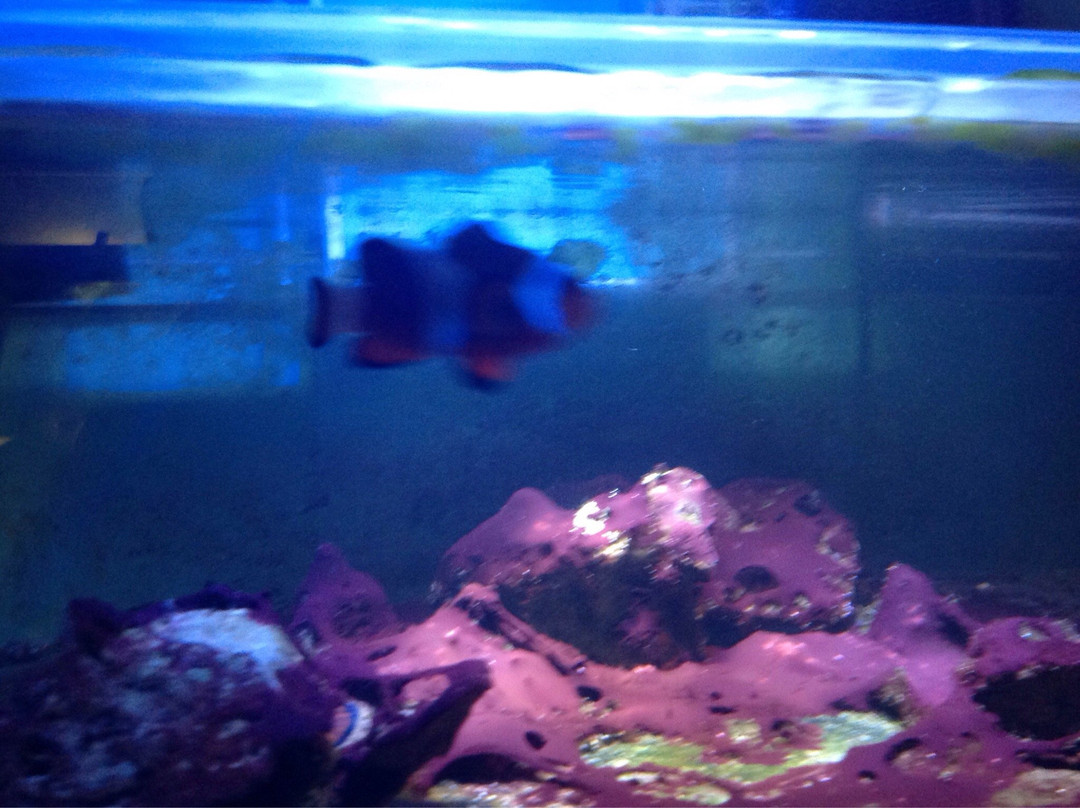 Sienica旅游景点-Oceanography Center Open Ocean