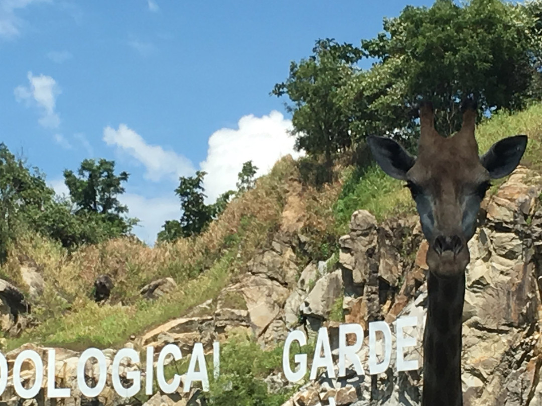 Naypyidaw Zoological Garden-内比都必去景点