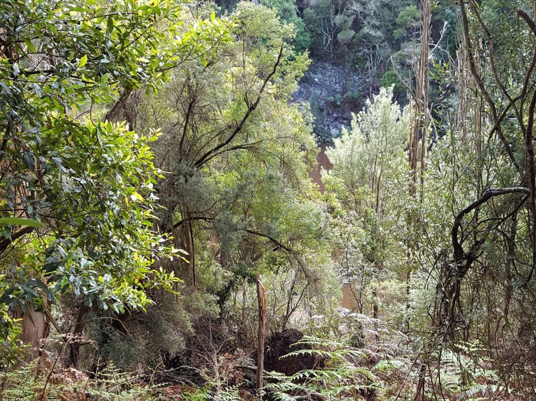 King Island Rambles-King Island必去景点