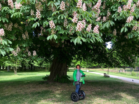 Segway Den Haag-海牙必去景点