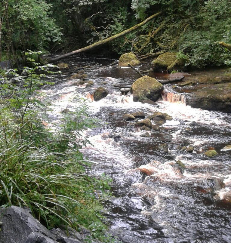 Cladagh Glen Walk-Belcoo必去景点