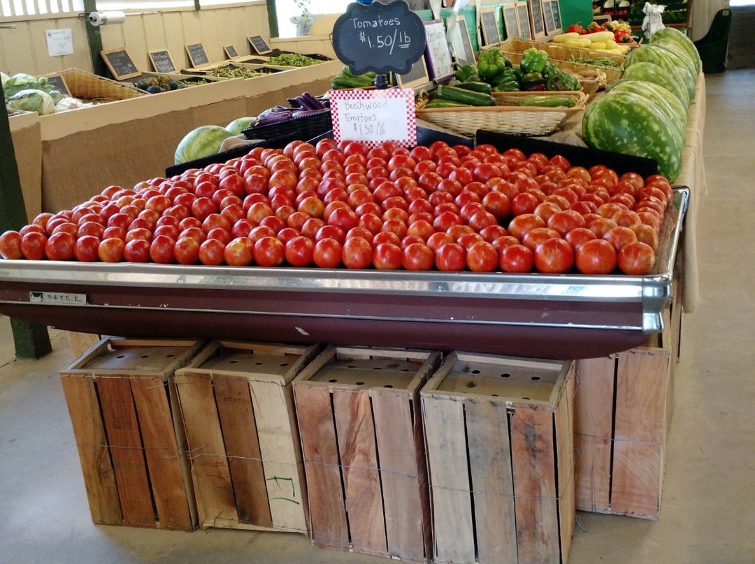 Beechwood Farms-Travelers Rest必去景点