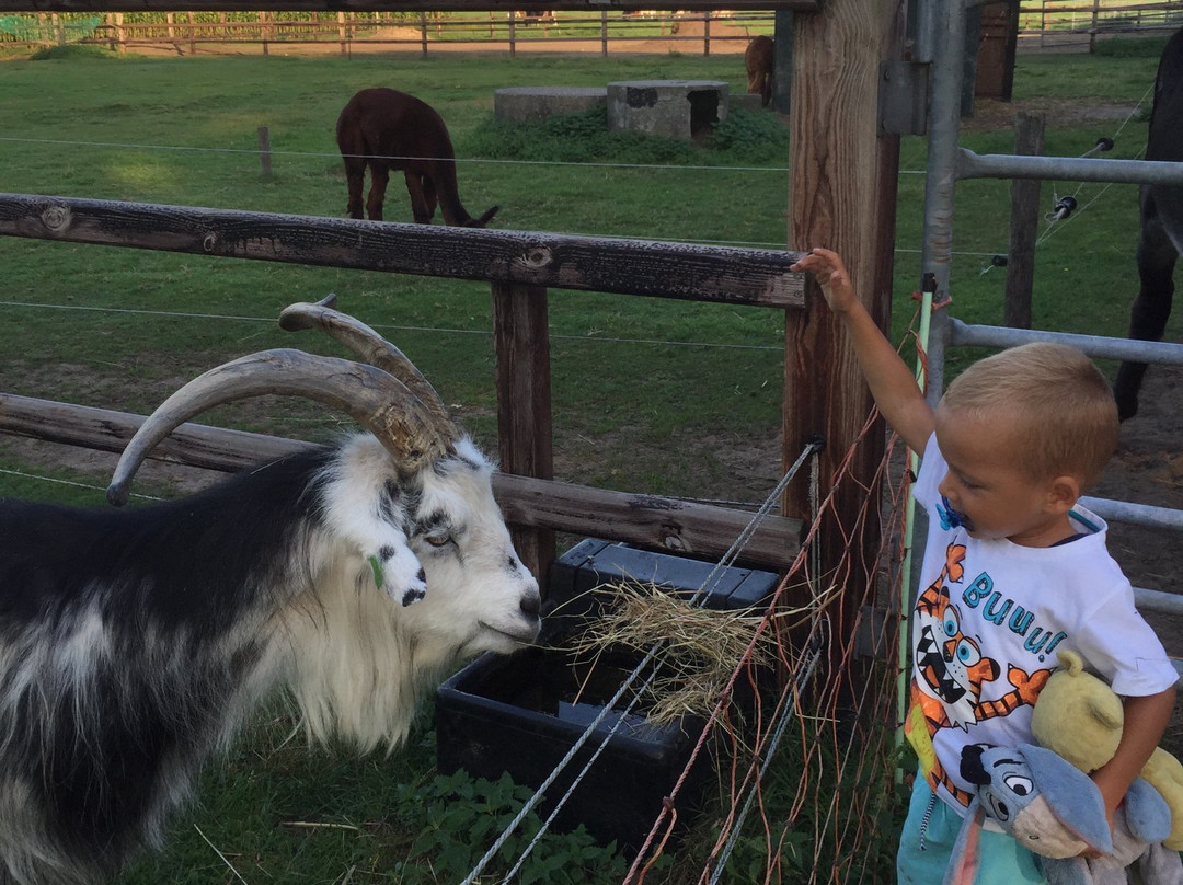De Weiden-贝尔特勒姆必去景点