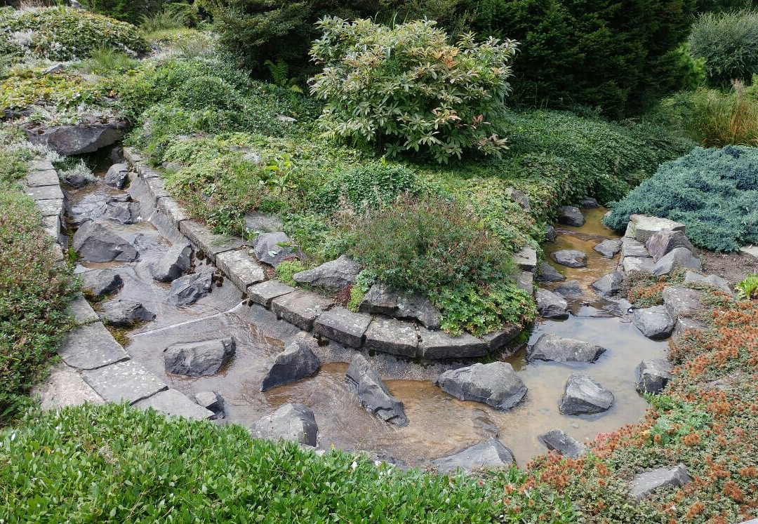 Botanischer Garten Solingen景点图片