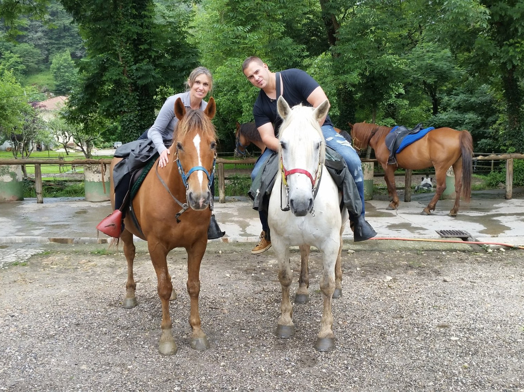 Rutas a Caballo El Dorado景点图片