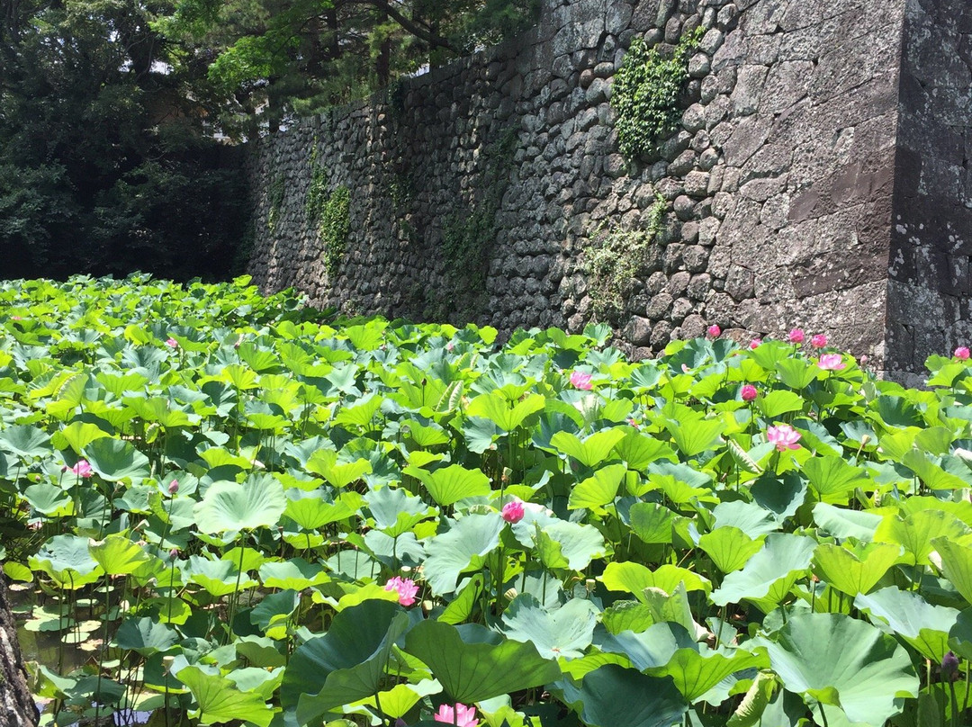Goto Kanko History Museum景点图片