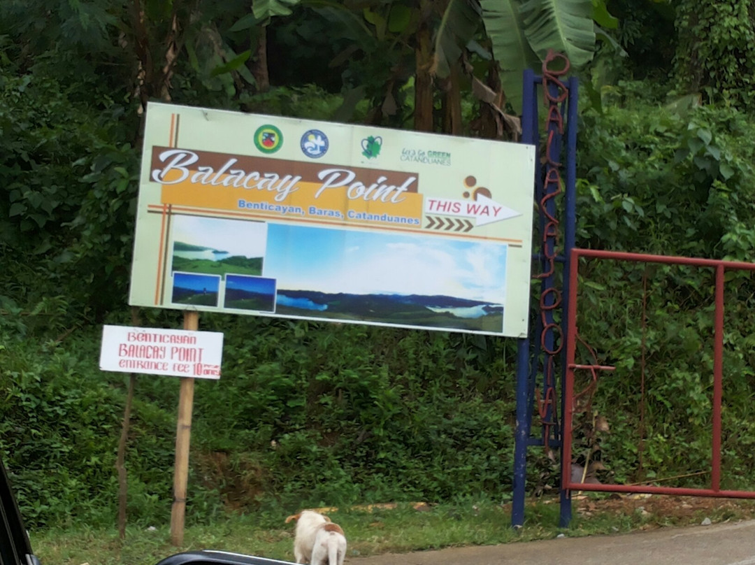 Balacay Point-Catanduanes必去景点