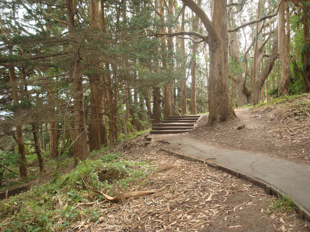 麦莱恩公园-旧金山必去景点