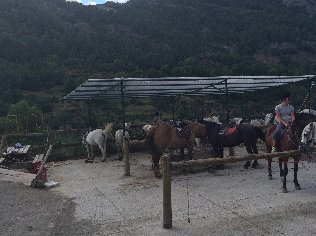L'Aldosa Horse Center & Trails-L'aldosa必去景点