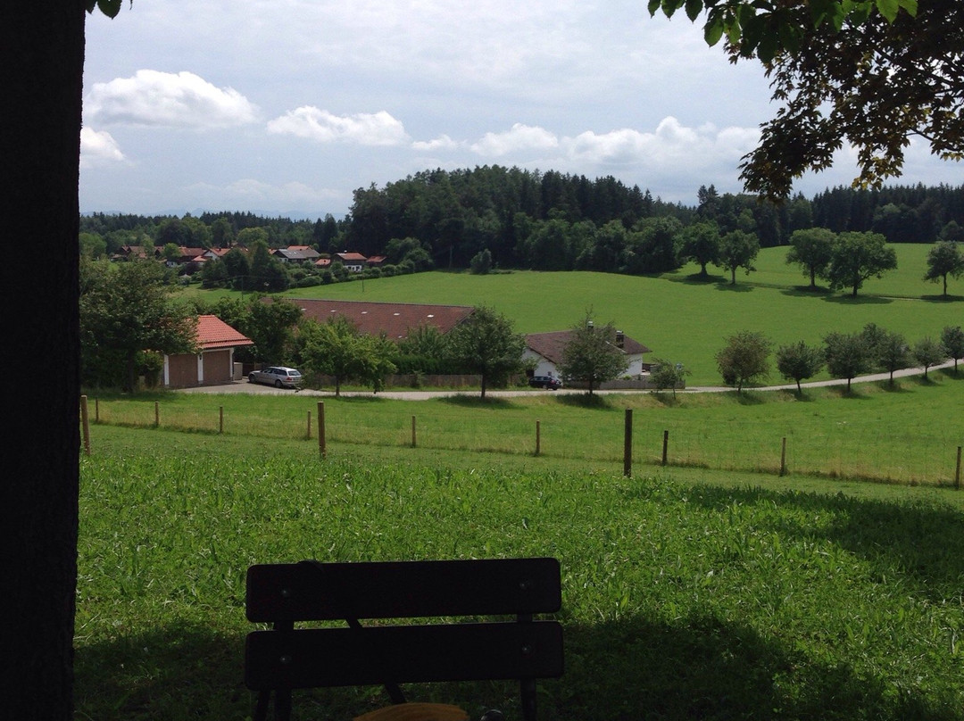 Landgasthof Berg主图