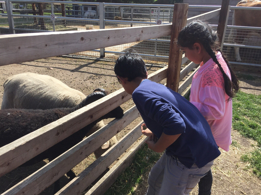 Brooks Farm-伦敦必去景点