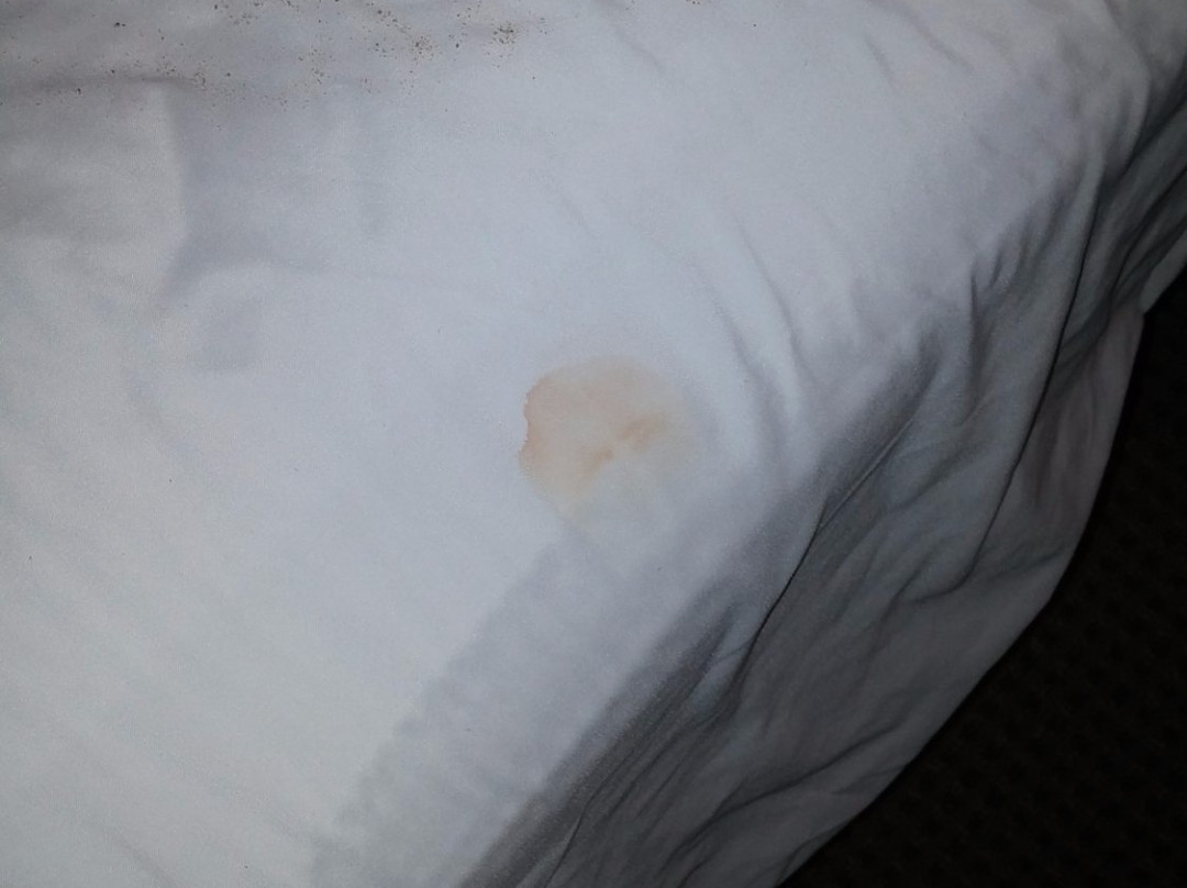 Inn on Onset Bay主图