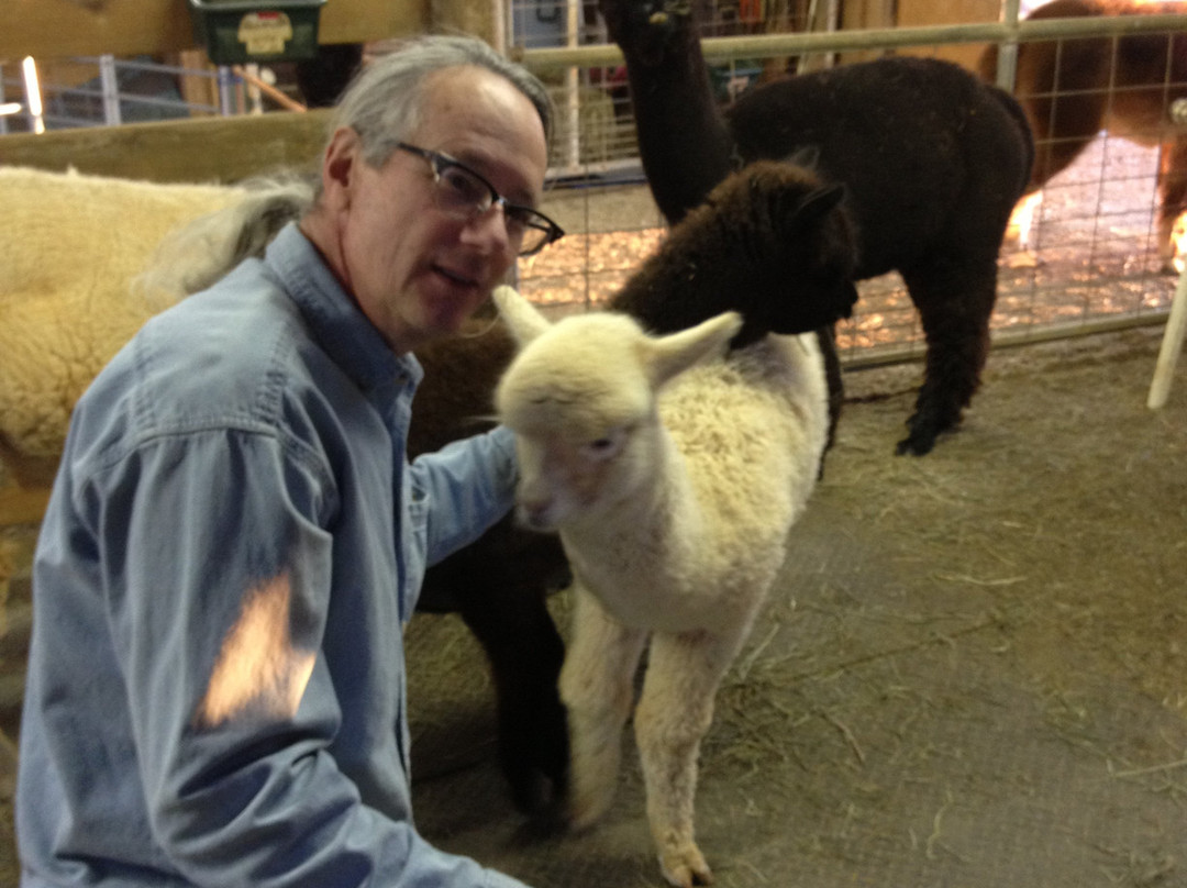 Destiny Alpaca Farm-Young Harris必去景点