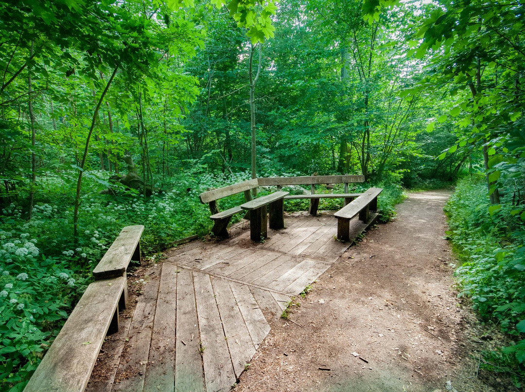 Dalby Söderskog National Park景点图片