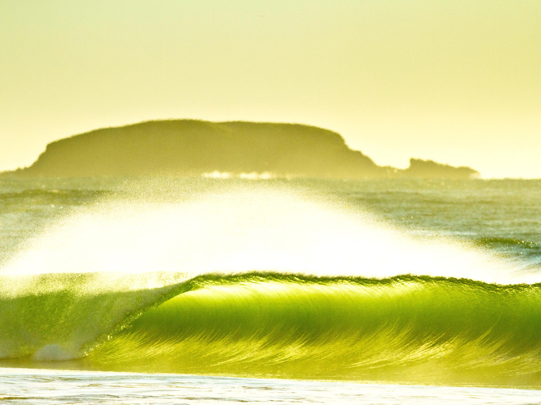 Solitary Islands Surf School - Emerald Beach-Emerald Beach必去景点