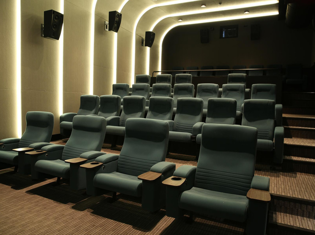 Jacob Burns Film Center景点图片
