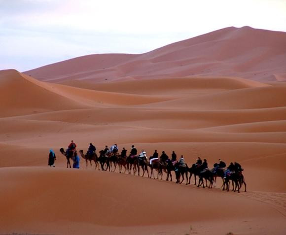 Sahara Gate Tours景点图片