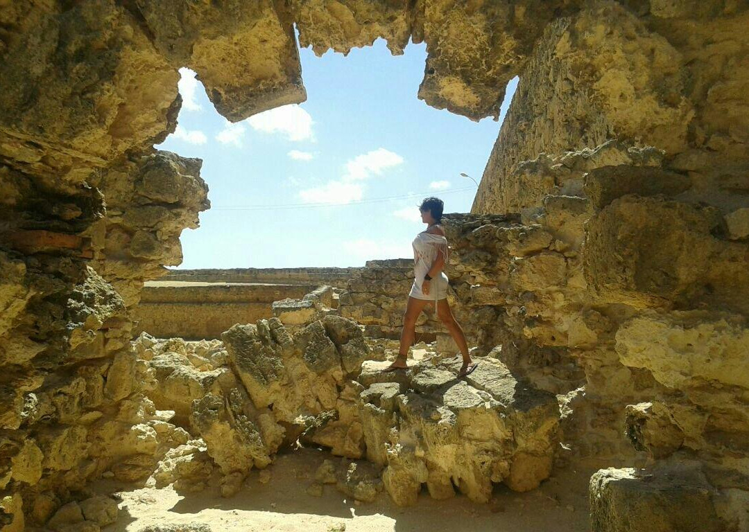 Araya Castle景点图片